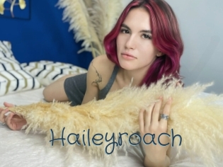 Haileyroach