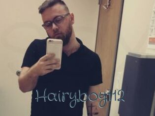 Hairyboy112