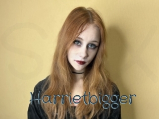 Harrietbigger