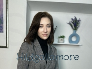 Hildgallamore