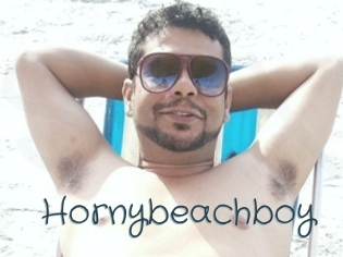 Hornybeachboy