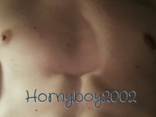 Hornyboy2002