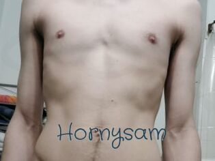 Hornysam