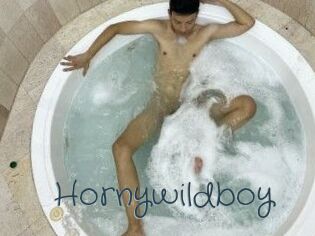 Hornywildboy