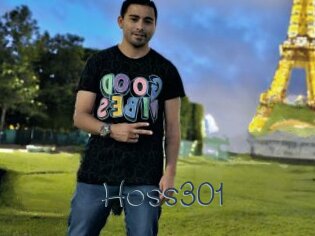 Hoss301