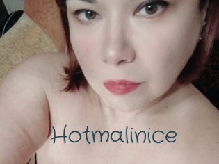 Hotmalinice