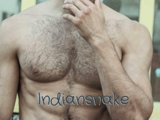 Indiansnake