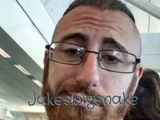 Jakesbigsnake