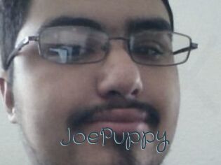 JoePuppy