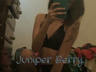 Juniper_Berry