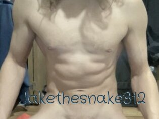 Jakethesnake312