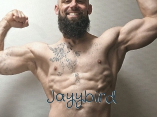 Jayybird