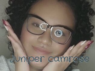 Juniper_camrose