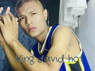 King_david_hot