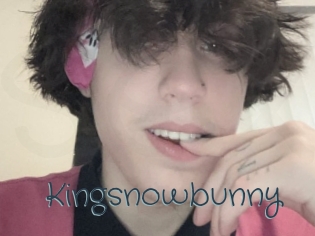 Kingsnowbunny