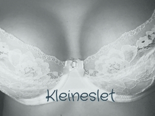 Kleineslet