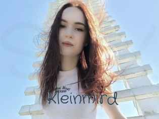 Kleinmird