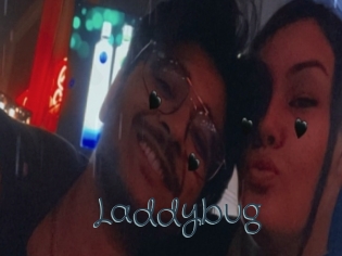 Laddybug