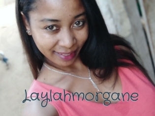 Laylahmorgane