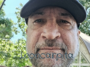 Leoncarpita