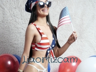 Liaortizcam