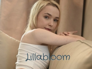 Lillabloom