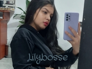 Lilybosse