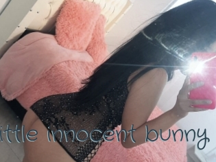 Little_innocent_bunny