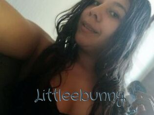 Littleebunny