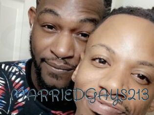 MARRIEDGAYS213