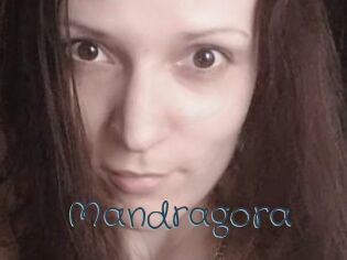 Mandragora