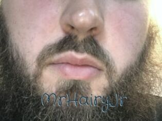 MrHairyJr