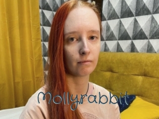 Mollyrabbit