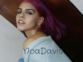 NoaDavis