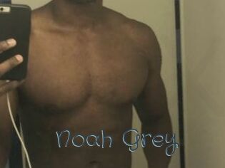 Noah_Grey