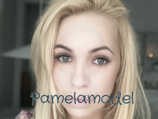 Pamelamodel