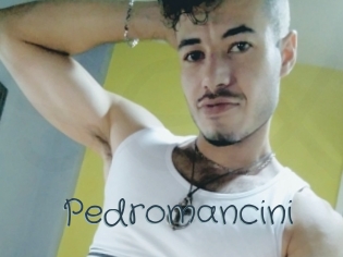 Pedromancini