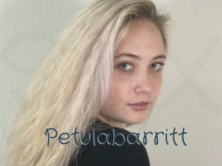 Petulabarritt