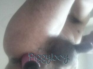 Piggyboy