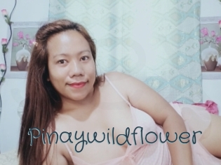 Pinaywildflower