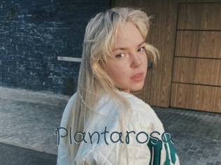 Plantarosa