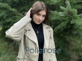 Pollerose