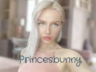 Princesbunny