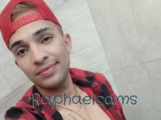 Raphaelcams