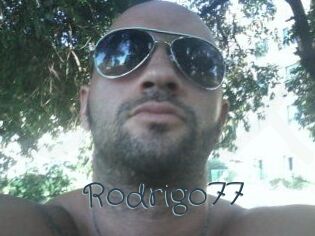 Rodrigo77