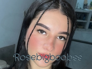 Rosebigboobss