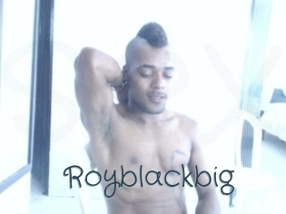 Royblackbig