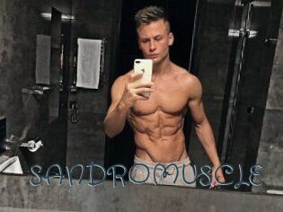 SANDRO_MUSCLE