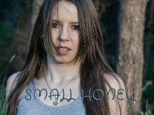 SMALL_HONEY