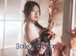 SakuraEvans